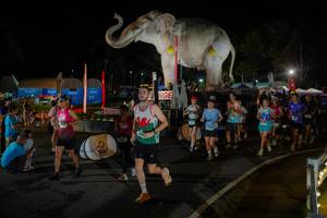 BIB: 
                            <button type="button" onclick="openModal(26552325)" class="btn btn-primary btn-sm float-right btn-popup" data-toggle="modal" data-target=".modal-high-quality">
                        <i class="fas fa-shopping-cart"></i> Add to Cart
                    </button>
                                            <button type="button" onclick="isThisMe(26552325, true)" class="btn btn-success btn-sm float-right btn-popup btn-isme hidden" data-toggle="tooltip" data-placement="bottom" title="นี่คือรูปของคุณใช่ไหม คลิกที่นี่เพื่อเอาเข้าอัลบั้ม">
                        <i class="fas fa-plus"></i> Add to album
                    </button>
                    <button type="button" onclick="isThisMe(26552325, false)" class="btn btn-warning btn-sm float-right btn-popup btn-isnotme hidden">
                        <i class="fas fa-ban"></i> Remove from album
                    </button>